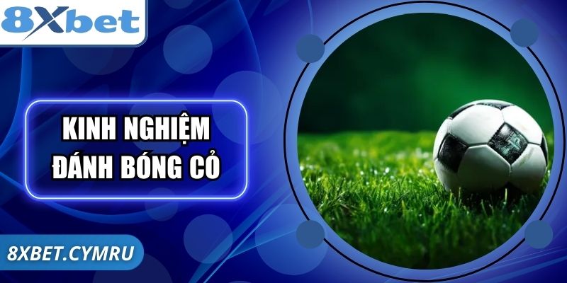 Kinh Nghiệm Đánh Bóng Cỏ – Bí Quyết Soi Kèo Thắng Lớn