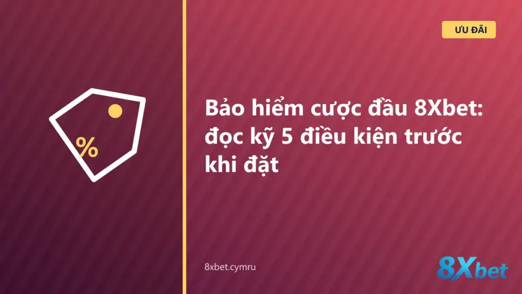 Danh sách 5 điều kiện bảo hiểm cược đầu 8Xbet: tài khoản mới, nạp tối thiểu, liên kết số điện thoại