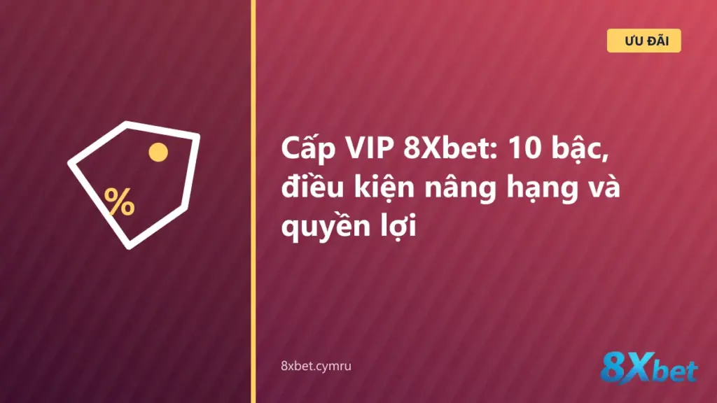 Bảng 10 cấp VIP 8Xbet: mốc điểm nâng hạng, điểm giữ hạng 90 ngày và quyền lợi VIP1
